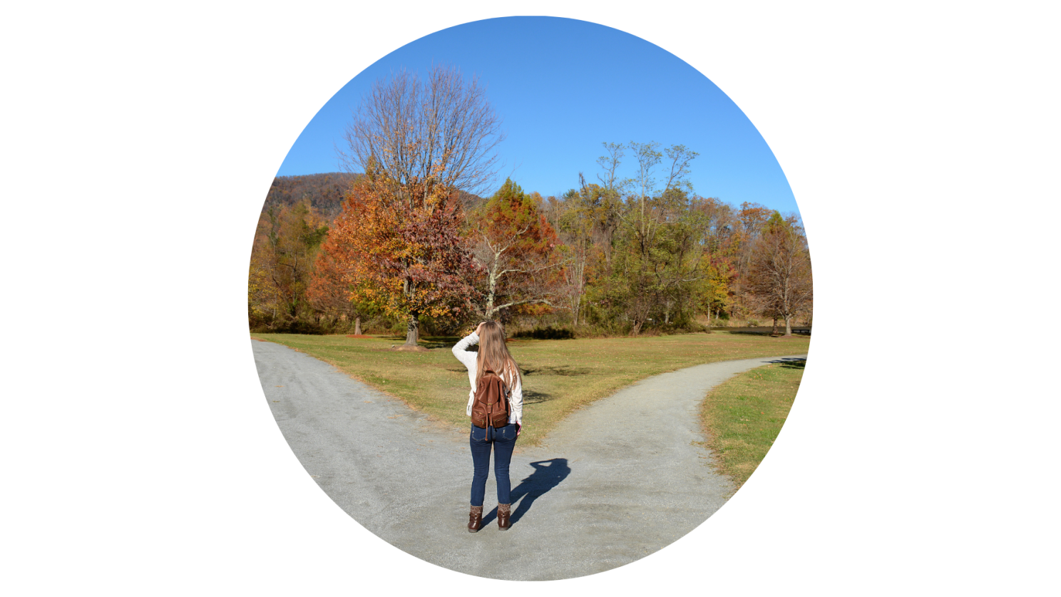 No alt text provided for this image